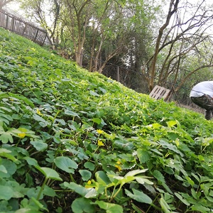 Foto: Kathrin Wallner