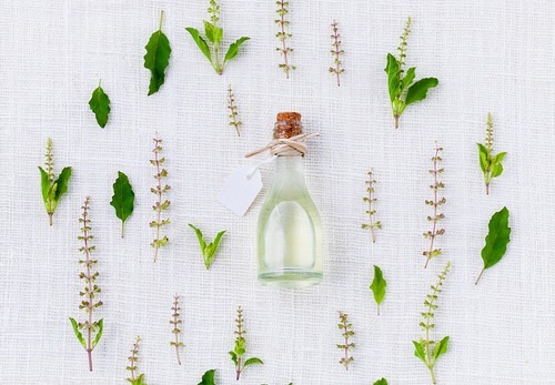 Fotorechte: basil von Pixabay