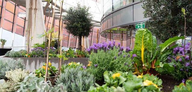 Foto_JR_LIFE_Manuela Schwarzl