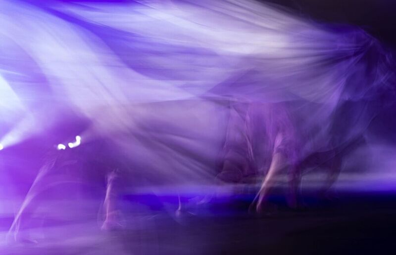 Bild von Hulki Okan Tabak auf Pixabay.