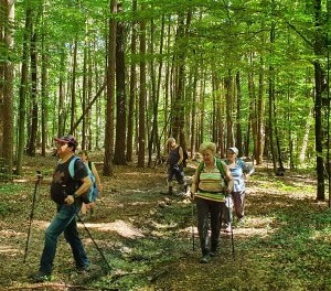 Foto: Pfarre Graz-Mariahilf