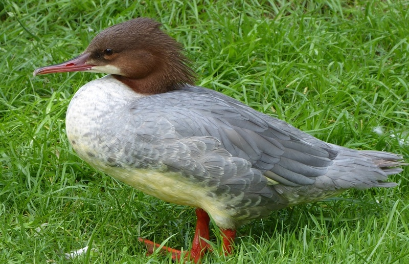 Fotorechte: Simin Payandeh