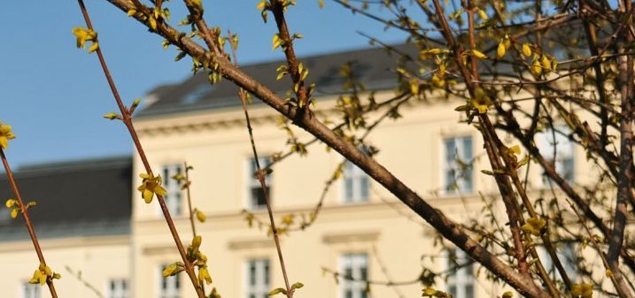 Kardinal König Haus