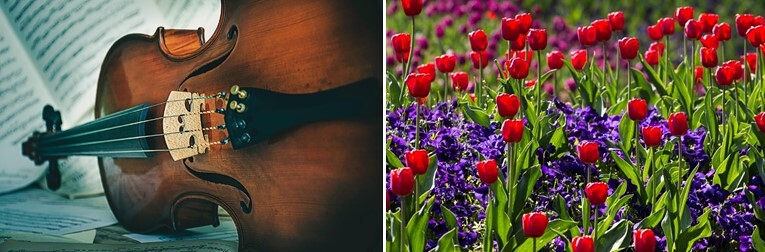 Fotorechte: Pixabay